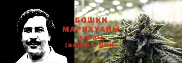 гидропоника Абаза
