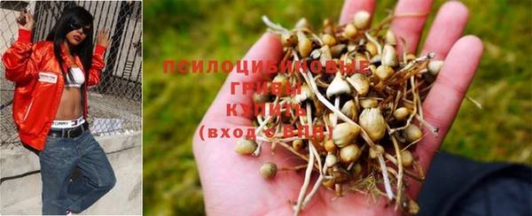 молекула духа Абдулино