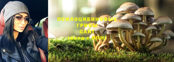 гидропоника Абаза